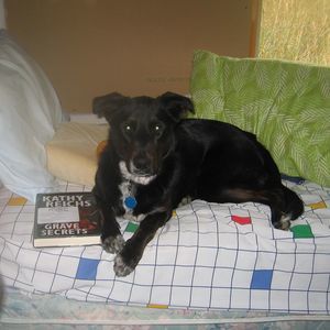 Meet your Posher, Anne